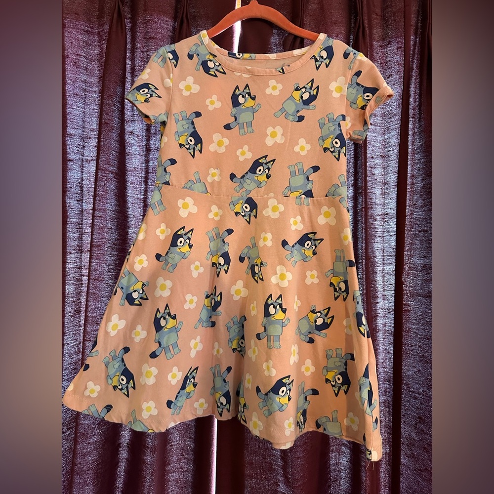 Bluey dress 5T